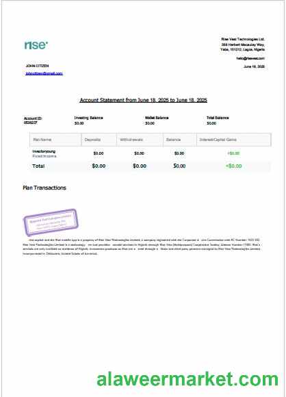 Nigeria Rise Vest account statement Word and PDF template